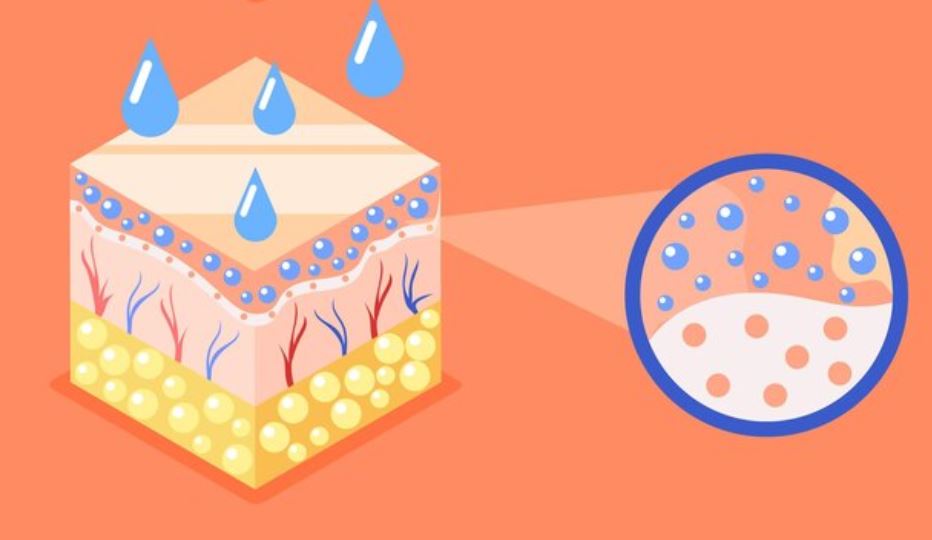 Dermatologi Venereologi 1