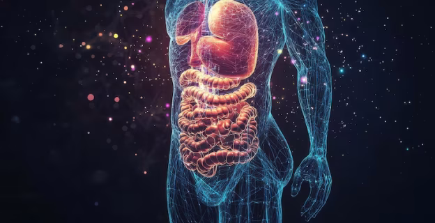 Sistem Gastrointestinal (GI)